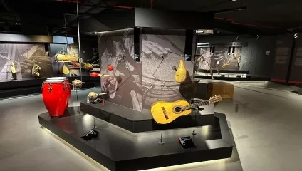 Karayipler Dr. Hüseyin Parkan Sanlıkol Müzik Enstrümanları Müzesi Görsel